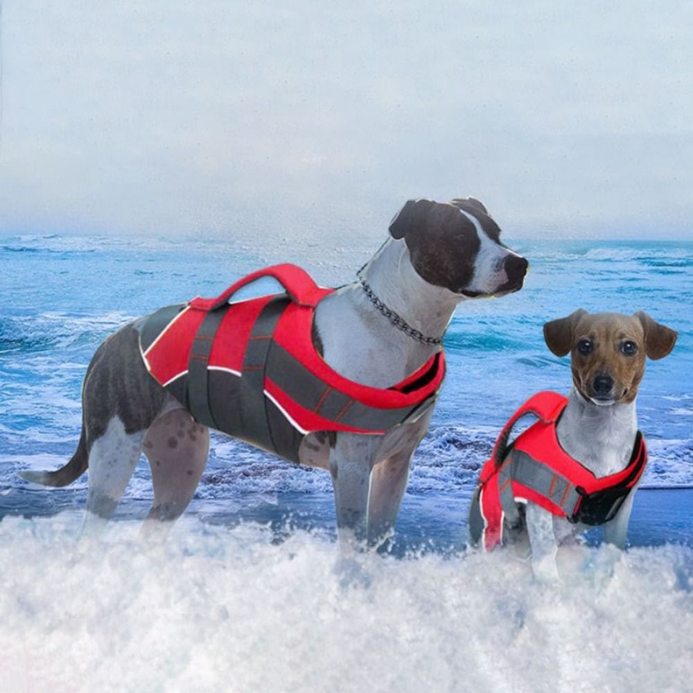 Life Jacket Buoyancy - Colete Salva-Vidas Refletivo para Cães Ajustável